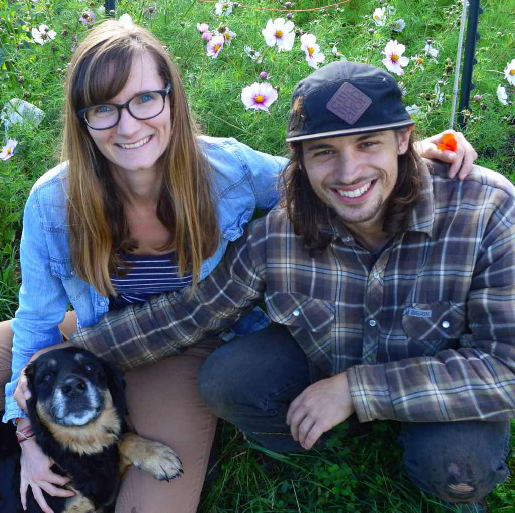 dancing dandelion farms