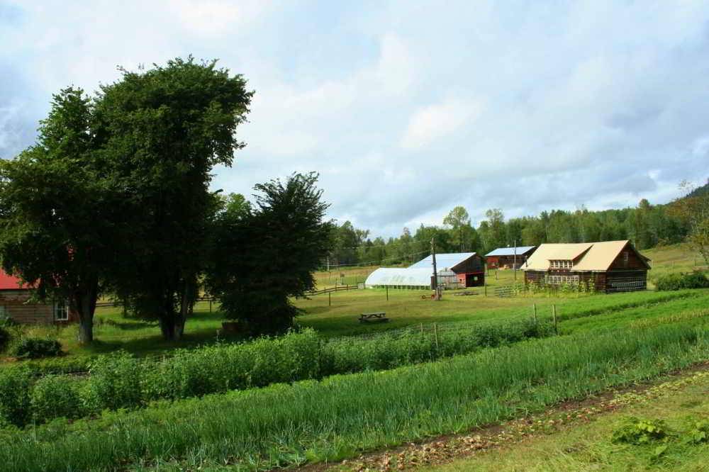 woodgrain farm
