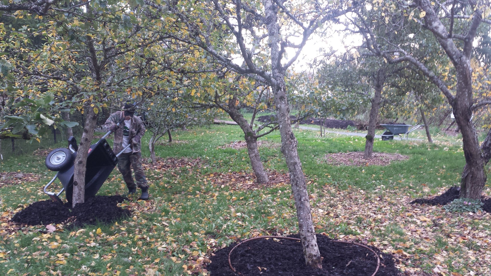 JOB VICTORIA, BC LifeCycles Project, Communications & Community