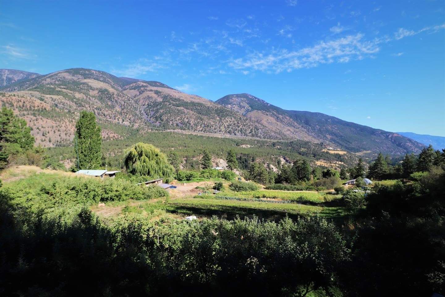 APPRENTICESHIP LYTTON, BC Stein Mountain Farm