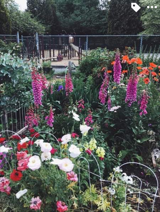 nelson park community garden