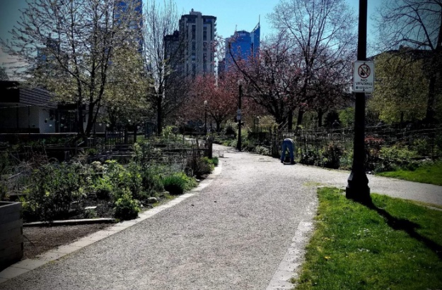 nelson park community garden