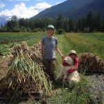 [FILLED] FARM JOBS: PEMBERTON, BC – Ice Cap Organics, Field Crew