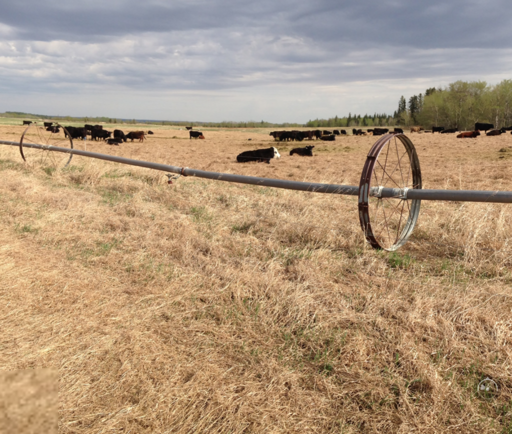 Screen Shot 2019-02-12 at 12.57.08 PM