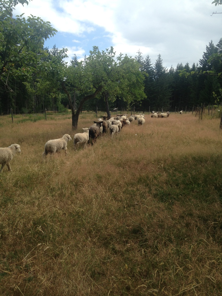 UNAVAILABLE COOP OPPORTUNITY ORGANIC FARM FOR COOWNERSHIP