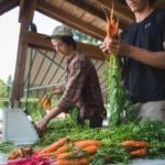 COMOX VALLEY, BC: Micro Loan Program Looking for Farmers!