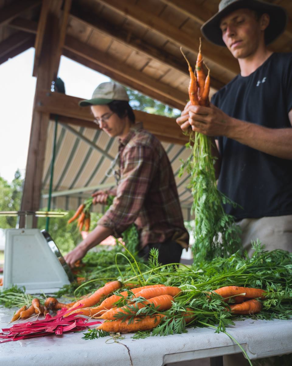 comox valley micro loan program
