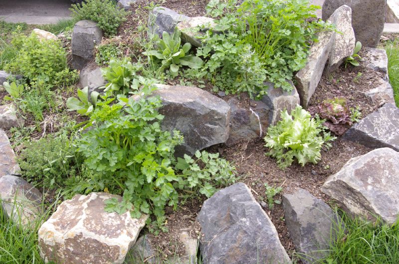permaculture design tofino vargas island cedar coast field station