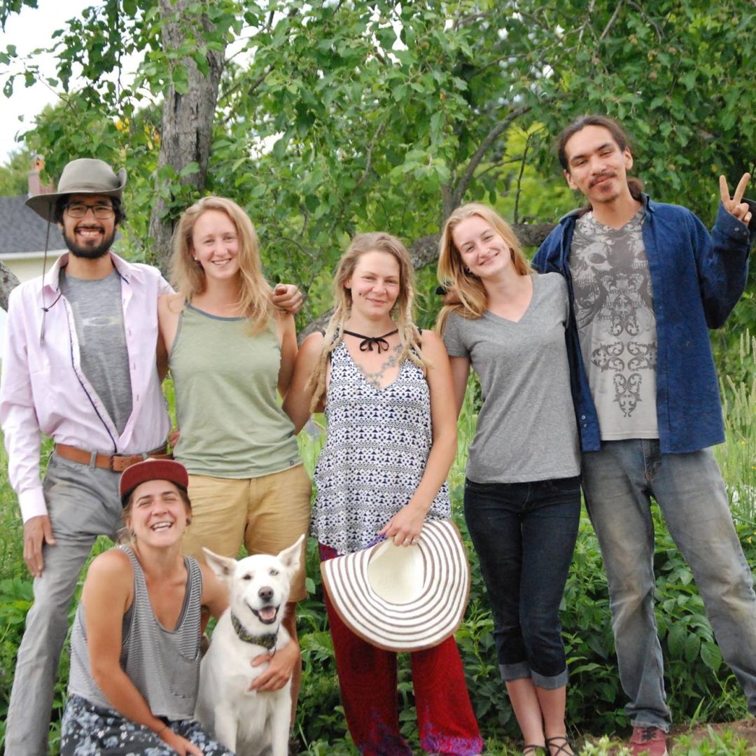 regenerative farming certification