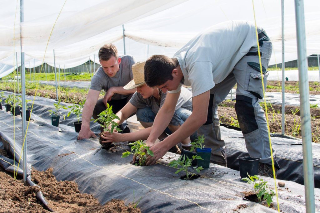 zaklan heritage farm