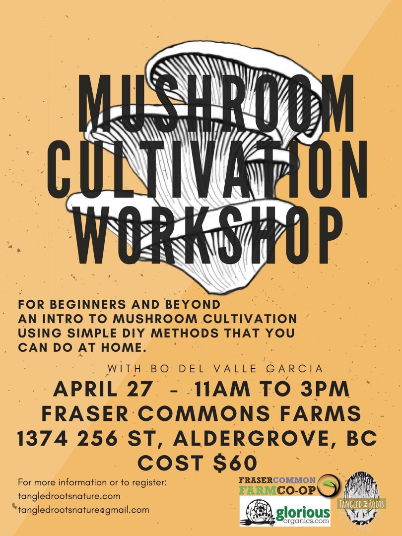 mushroom cultivation workshop tangled roots aldergrove