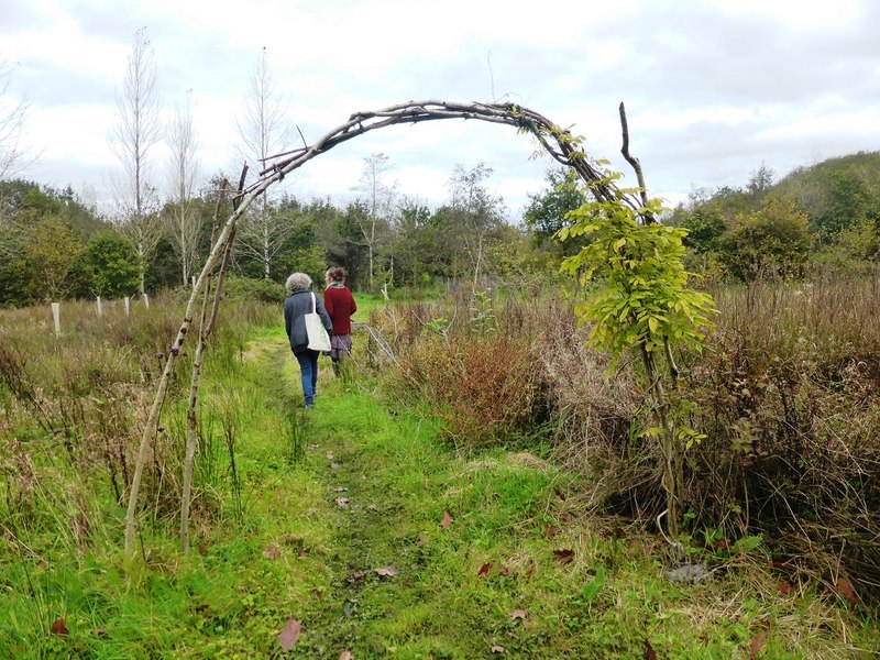 permaculture design tofino vargas island cedar coast field station