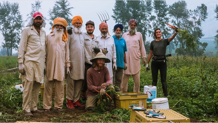 Grown Here Farms, Cawston, farm job