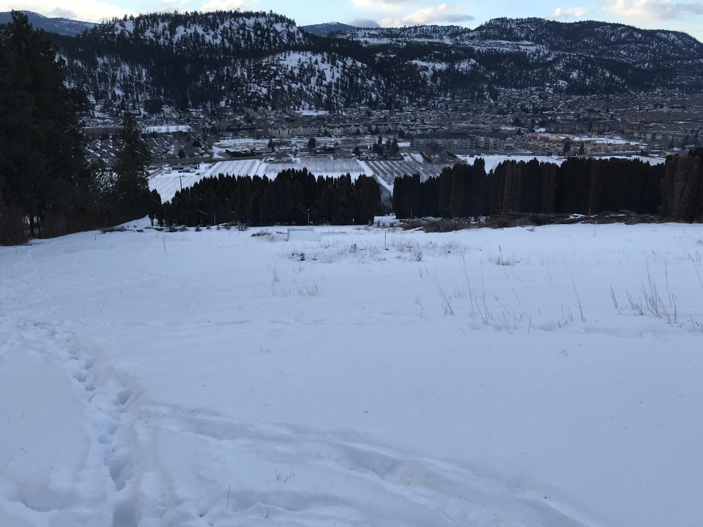 LAND OPPORTUNITY 3 ACRES AVAILABLE FOR LEASE KELOWNA, B.C Young
