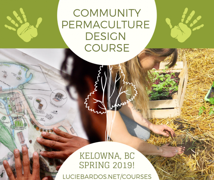 kelowna community permaculture design certificate course