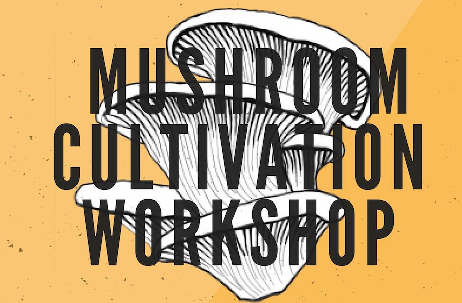 mushroom cultivation workshop tangled roots aldergrove