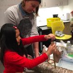 mushroom cultivation workshop tangled roots aldergrove