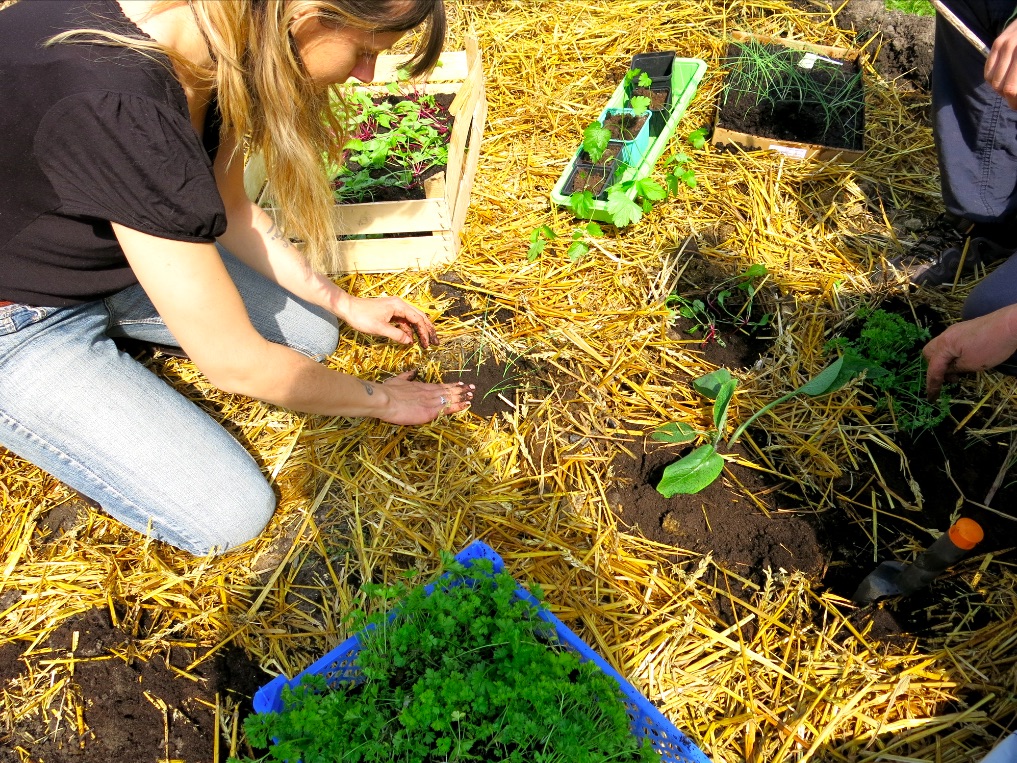 kelowna community permaculture design certificate course