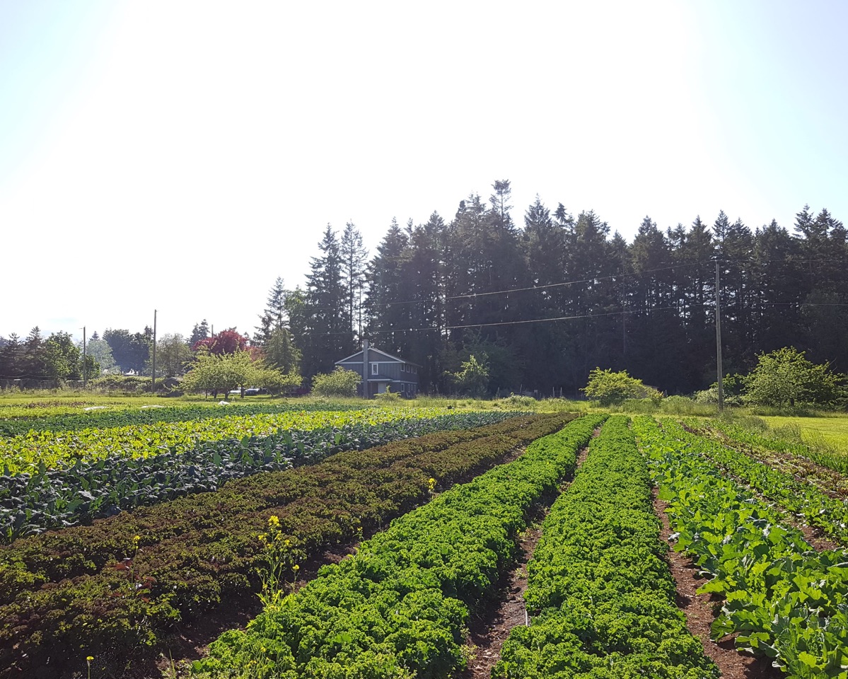 Home Field Salt & Harrow Farm, farm job