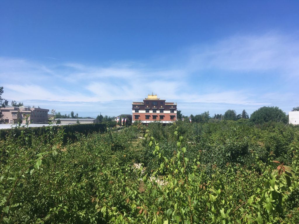 Thrangu Monastery orchard greenhouse farm worker richmond