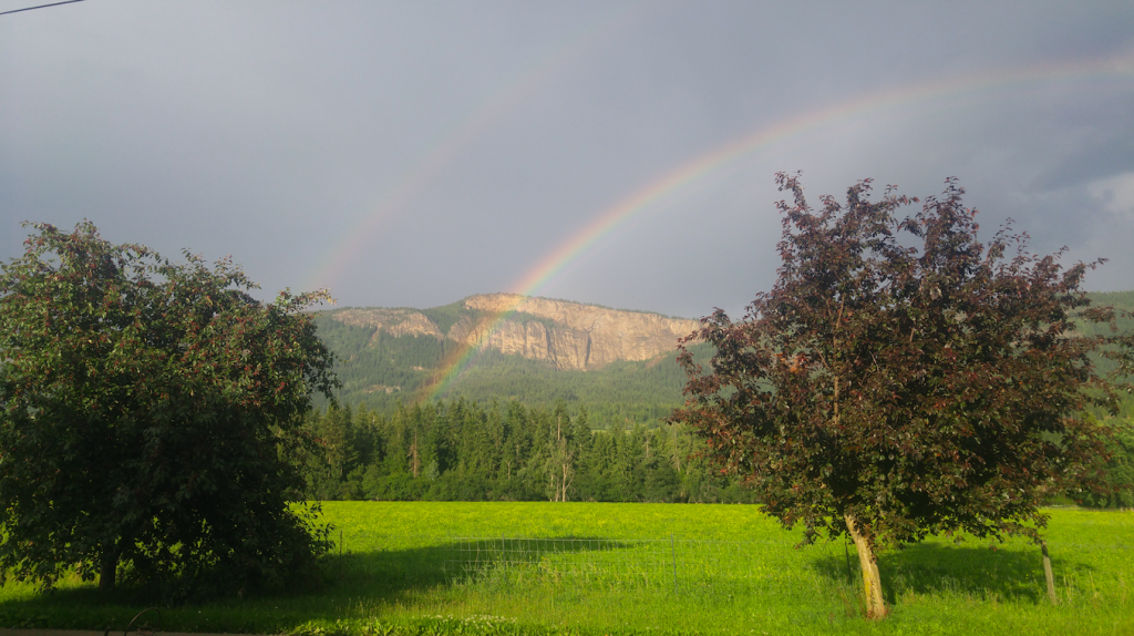 Fre-Da-Ro Farm, enderby, organic, farm job
