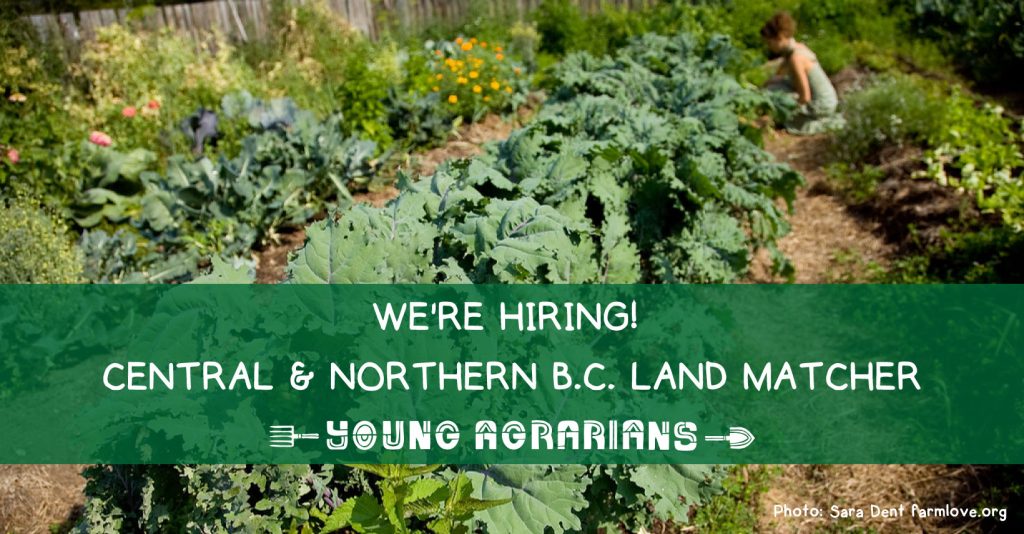 central northern bc land matcher job