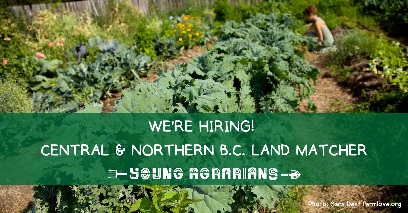 central northern bc land matcher job