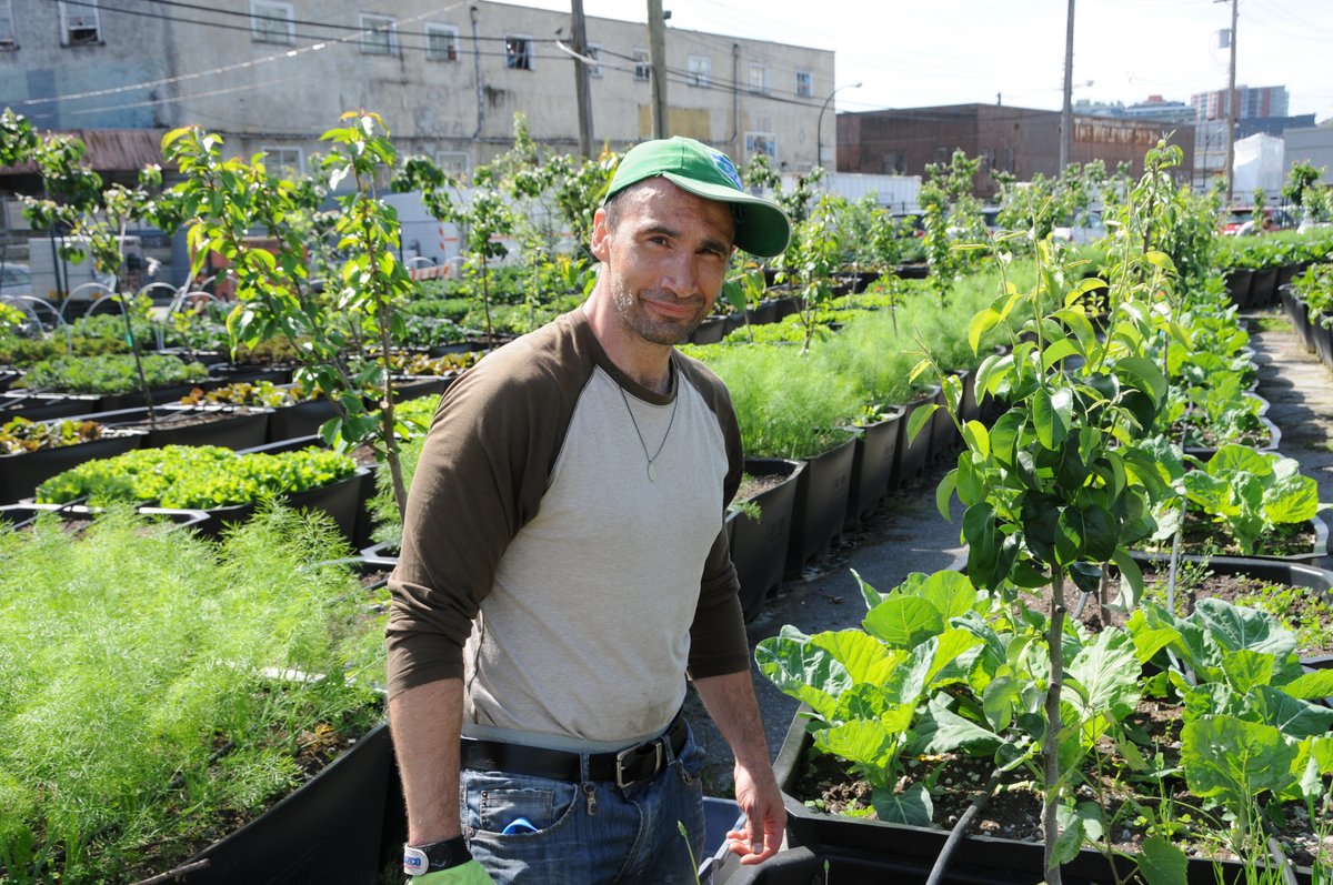 Sole Food Street Farms, Vancouver, farm jobs, man in field