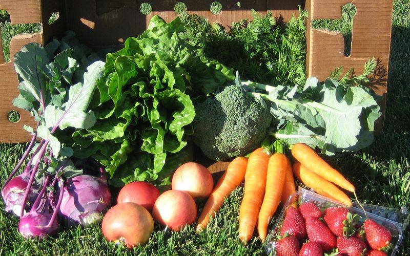 FARM JOBS KELOWNA, BC Helen's Acres Community Farm, Agricultural Workers