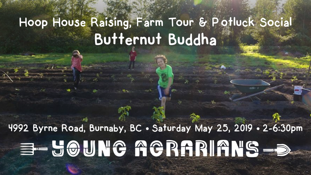 Butternut Buddha May 25 Burnaby