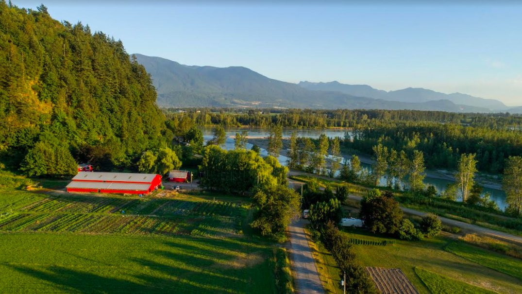 abundance community farm, agassiz, july 19, farm tour potluck