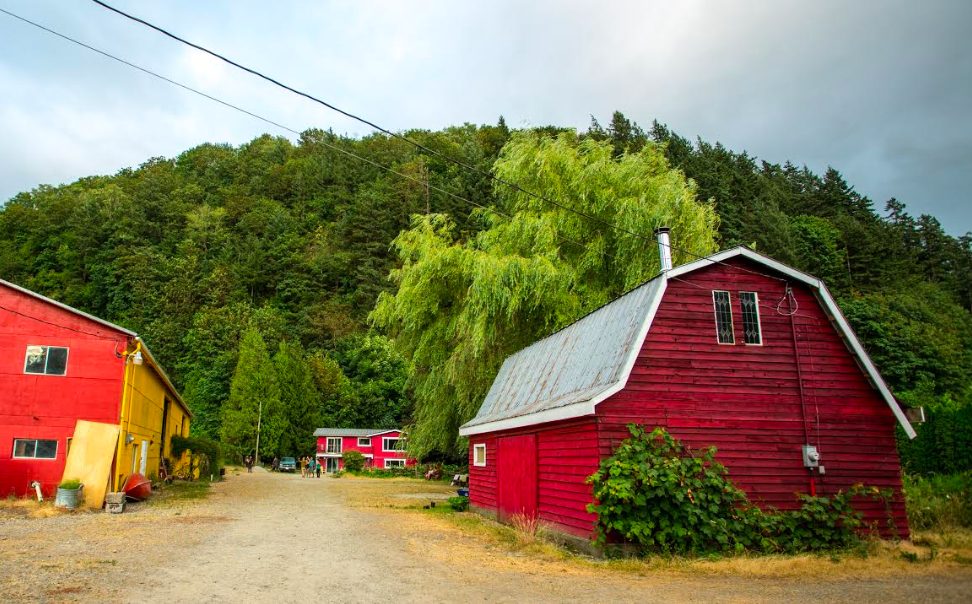 abundance community farm, agassiz, july 19, farm tour potluck