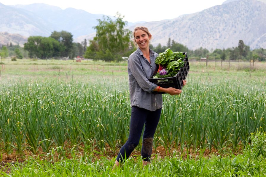 New farmers and food policies in Canada