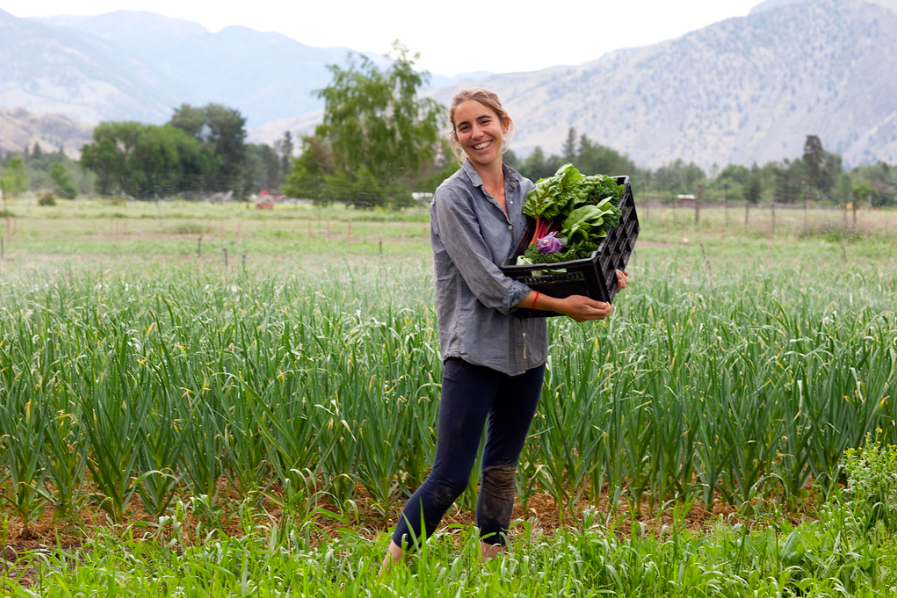 New farmers and food policies in Canada