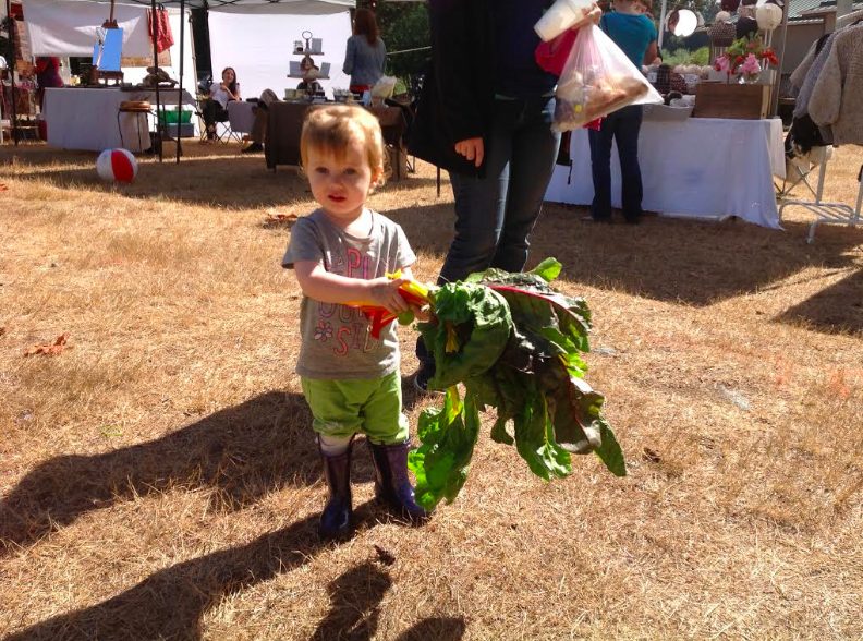cobble hill farmers market, victoria bc, farm job