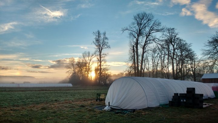 IMG_20170120_082304434_HDR