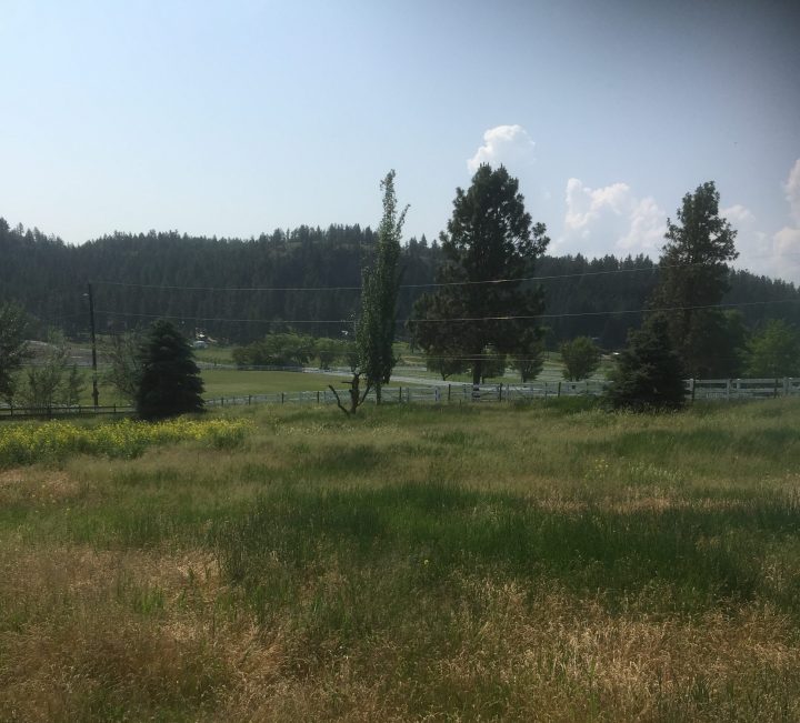 field