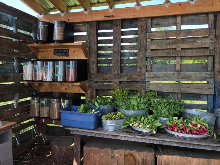 manna farm, land social, duncan, victoria