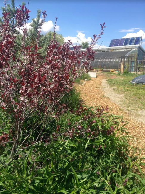 groundswell network society, farm job, invermere