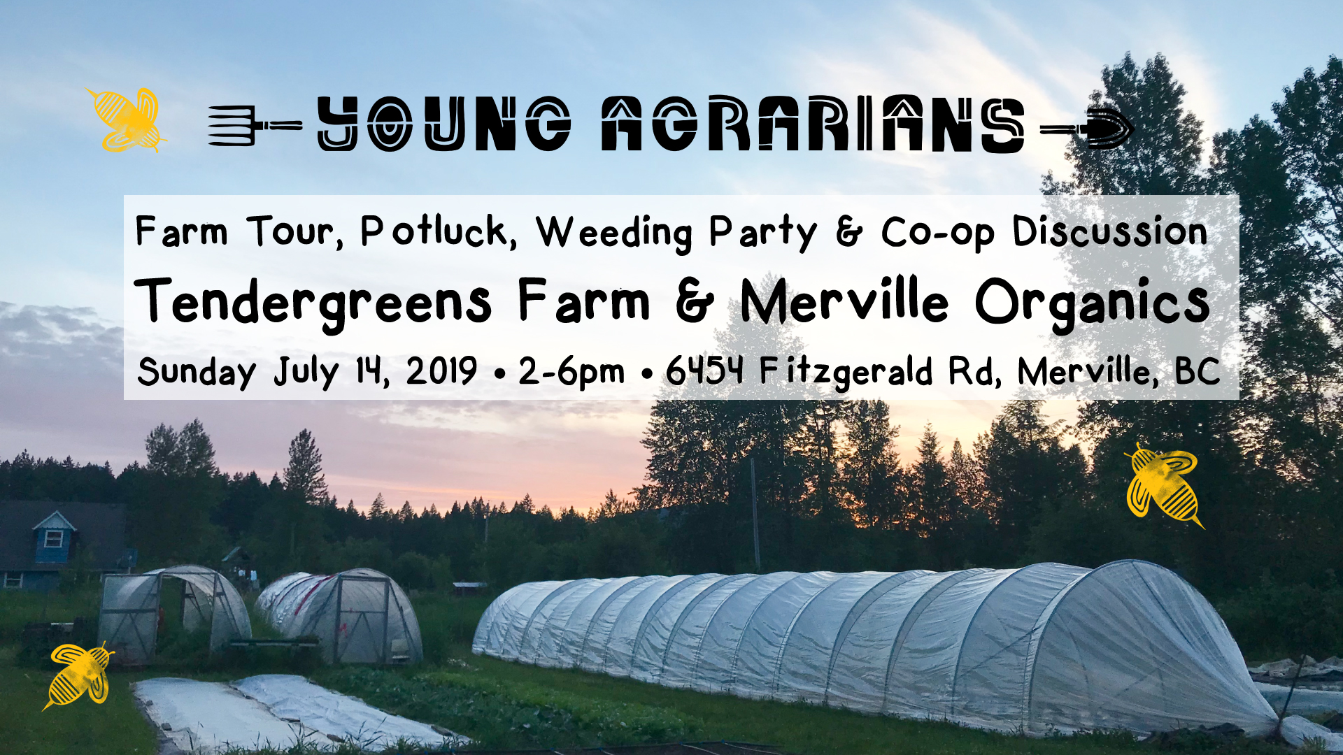 tendergreens farm, merville bc, farm tour
