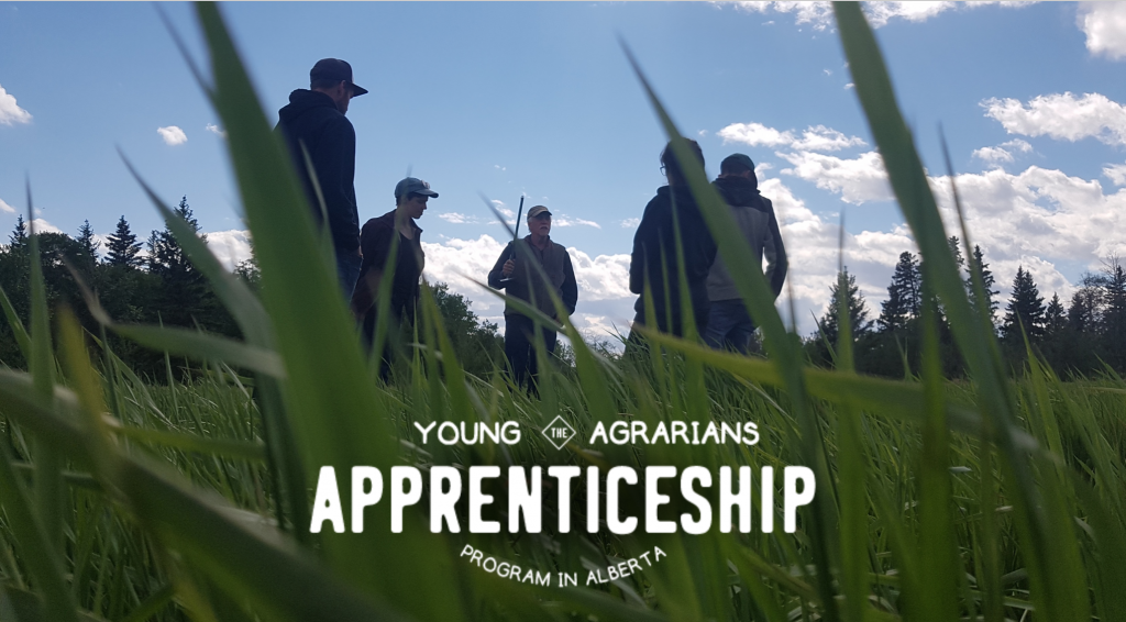 Young Agrarians Alberta Apprenticeship Program, farm, 2020
