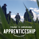 Apply for the 2020 YA Alberta Apprenticeship Program