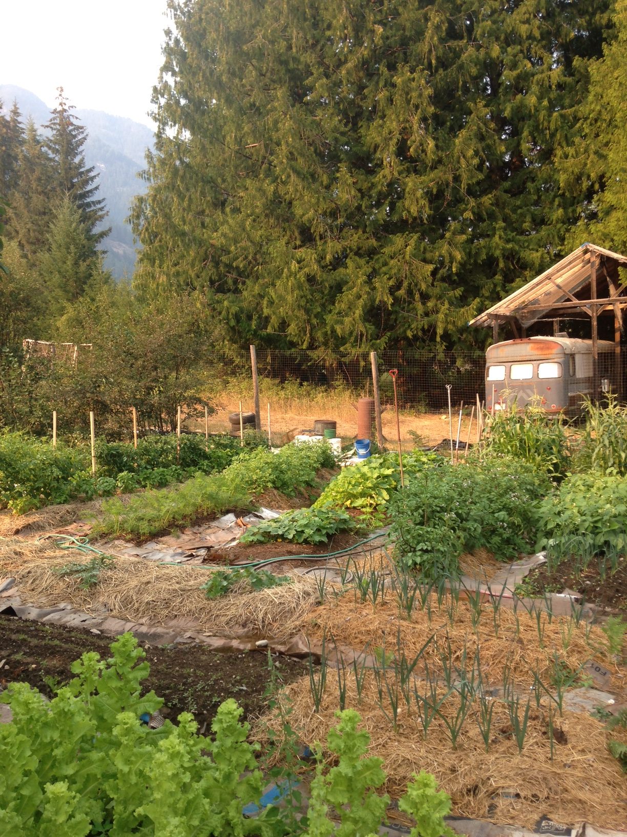 where the pavement used to end farm, vallican, winlaw, nelson, work trade