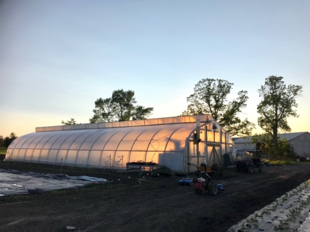 edwin county farm, farm job, picton, ontario, organic