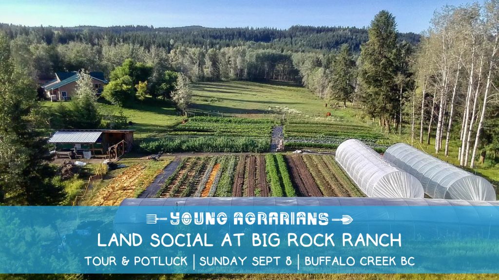 big rock ranch, land social, forest grove, 100 mile house, buffalo creek,