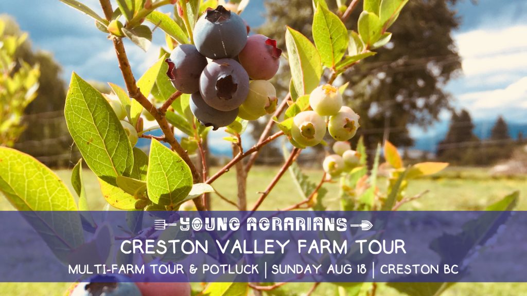 creston valley farm tour, farm tour, creston bc, august 18