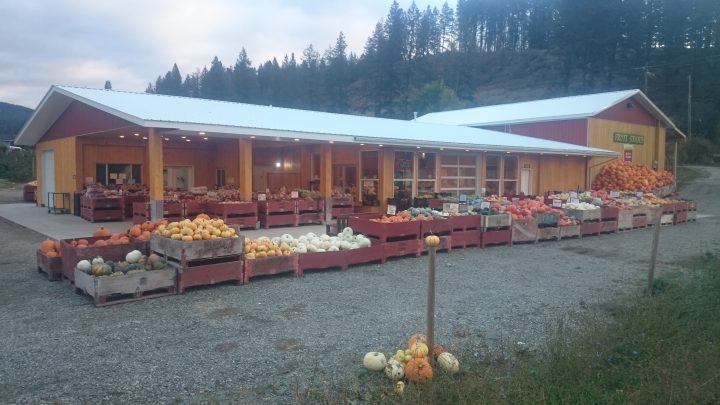 Fruit Stand fall 2018 (1)