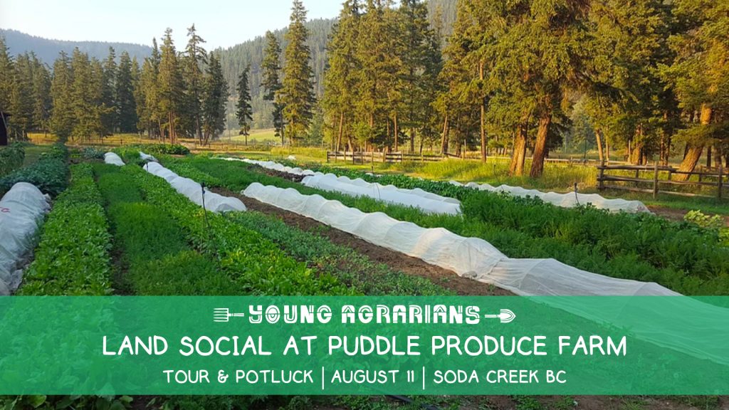 puddle produce farm, land social, williams lake, soda creek
