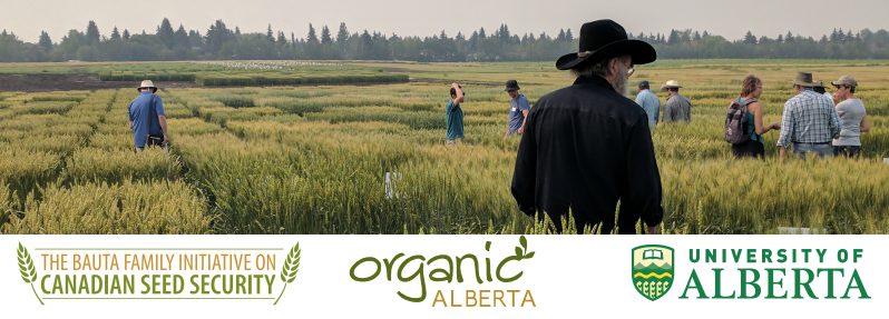 sourdough-plant-breeding-1