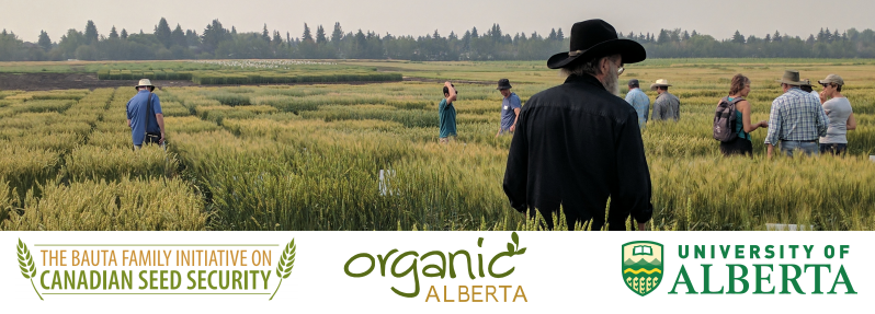 sourdough-plant-breeding-1